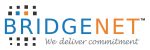 BridgeNet Solutions company logo