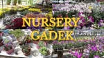 Gadek Nursery & Landscaping Sdn. Bhd. company logo