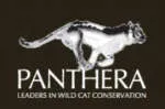 Panthera Corporation company logo