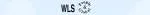 WLS GLOBAL SUPPLY SDN BHD company logo