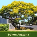 Angsana Tunas Sdn Bhd company logo