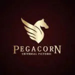 Pegacorn Sdn Bhd company logo