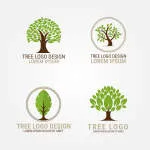 TREES AND SUN OUTDOOR company logo