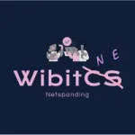 Wibit Consulting & Services (WibitCS) company logo