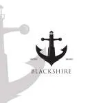 BorderlessHire company logo
