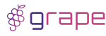 Grape Holding Sdn Bhd company logo