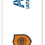 ICONS International School company logo