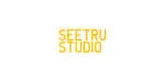 Seetru Studio company logo