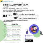 IMT Gruppe of Companies company logo