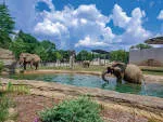 Zoo & Theme Park Marketing Sdn Bhd company logo