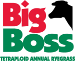 Big Boss Turf Equipment company logo