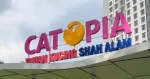 CATTOPIA HOLDING SDN BHD company logo