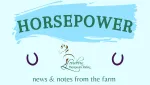 HORSEPOWER STATION SDN BHD company logo