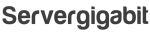 SERVERGIGABIT NETWORK company logo