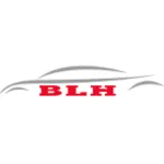 BAN LEE HIN MOTOR CO. company logo